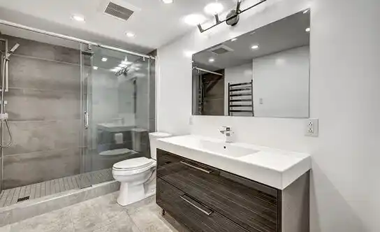 bathroom services Lewisville